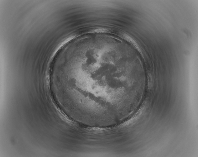 X0000113600827200909181350