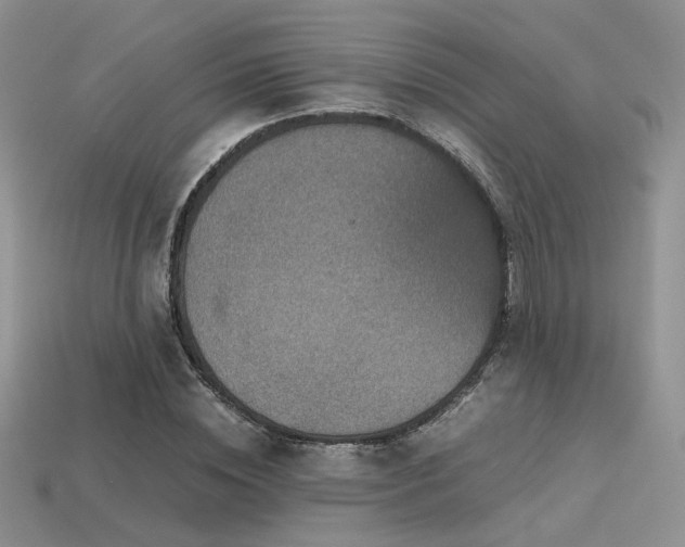 X0000113600828200909181350