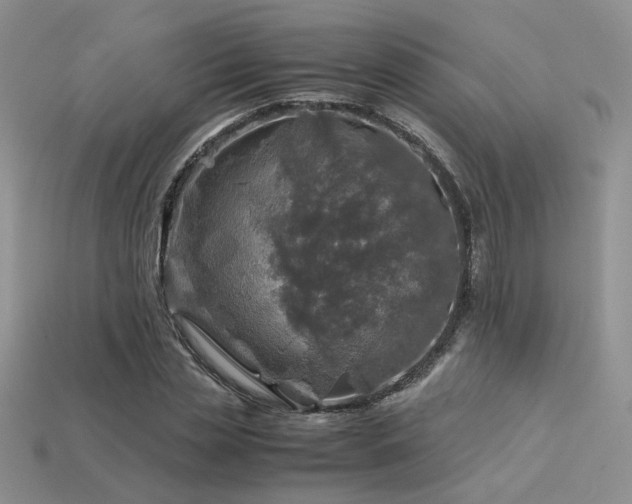 X0000113600829200909181350