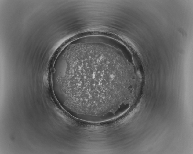 X0000113600830200909181350