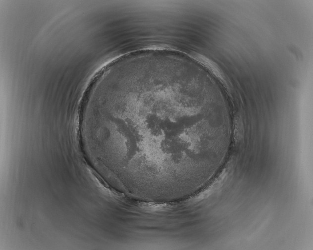 X0000113600831200909181350