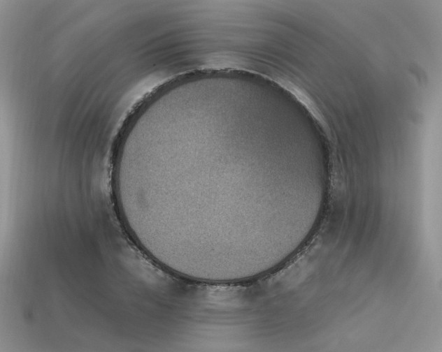 X0000113600832200909181350