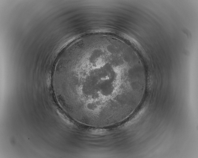 X0000113600833200909181350