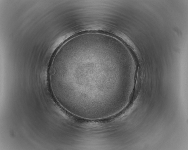 X0000113600834200909181350