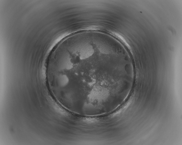 X0000113600835200909181350