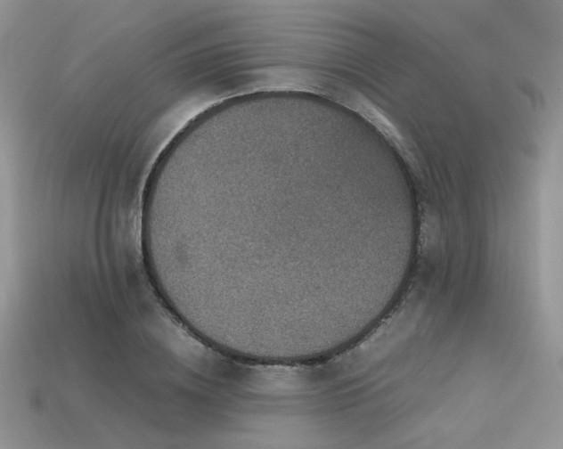 X0000113600836200909181350