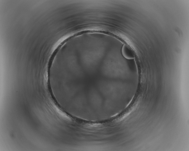 X0000113600837200909181350