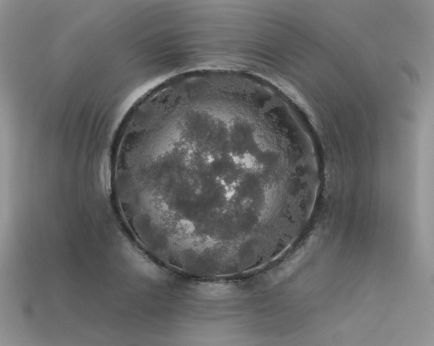 X0000113600838200909181350