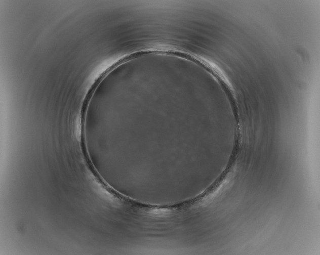 X0000113600839200909181350