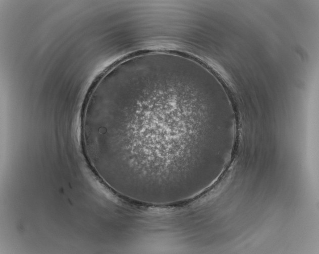 X0000113600840200909181350