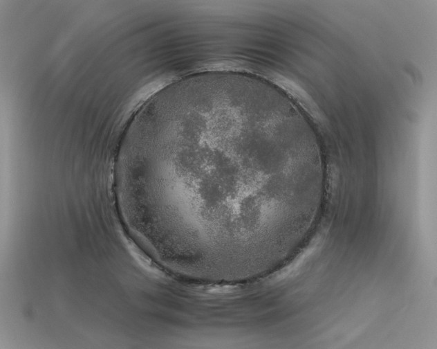 X0000113600841200909181350