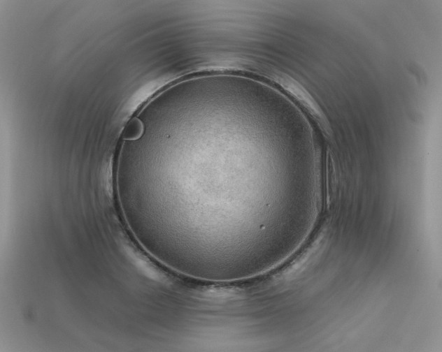 X0000113600842200909181350