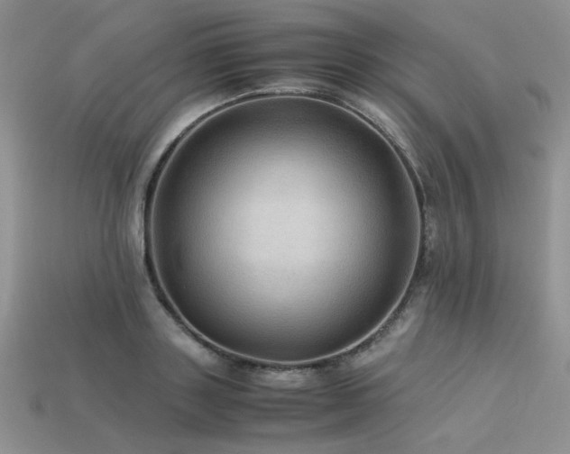 X0000113600843200909181350