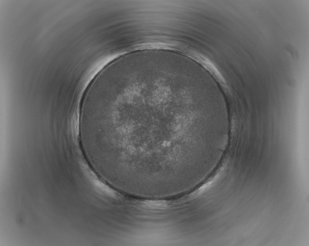 X0000113600844200909181350