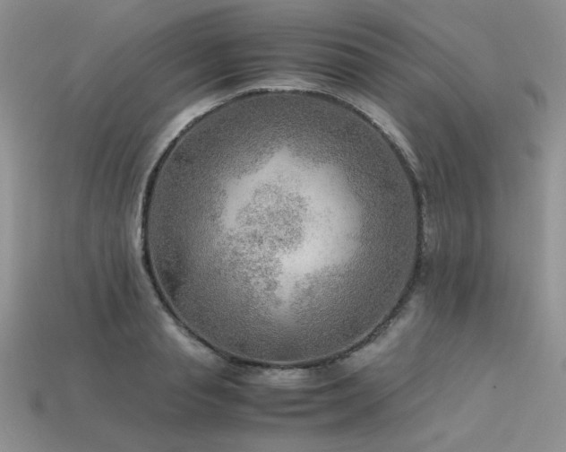 X0000113600845200909181350