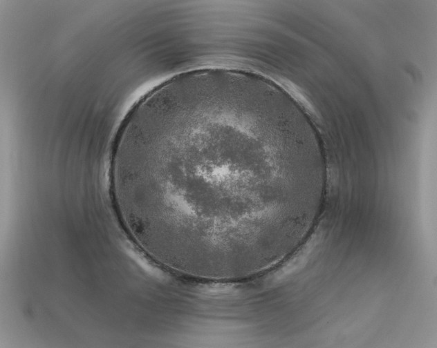 X0000113600846200909181350