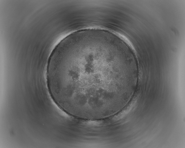 X0000113600847200909181350