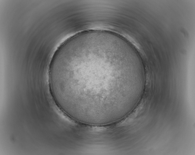 X0000113600848200909181350