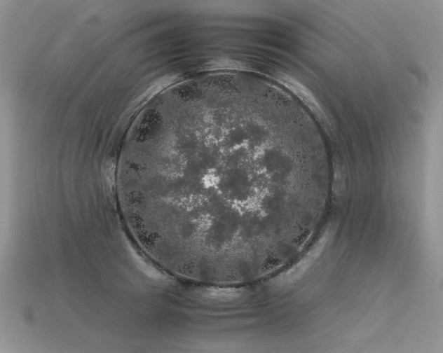 X0000113600849200909181350