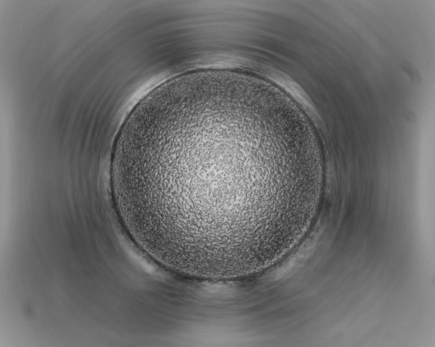 X0000113600850200909181350