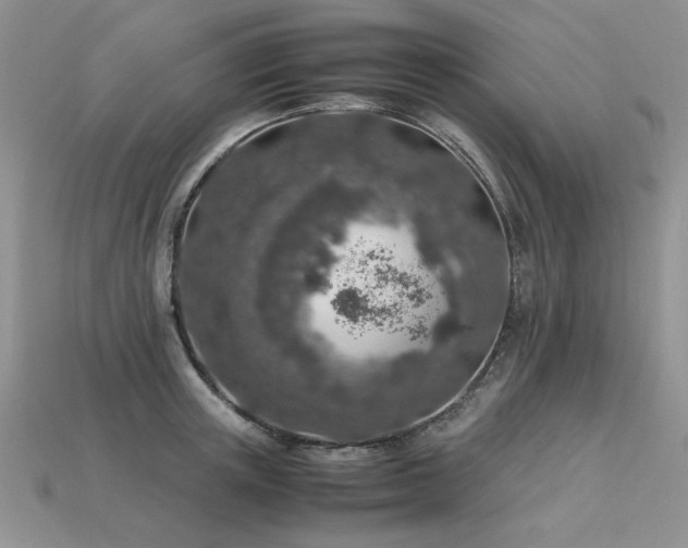 X0000113600851200909181350