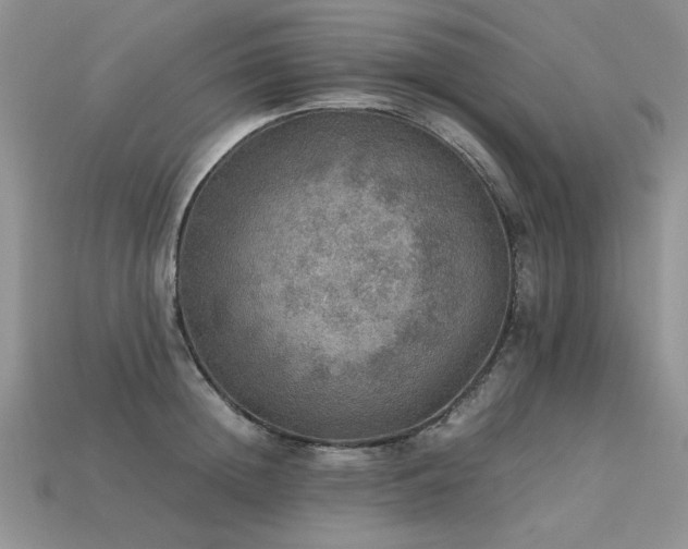 X0000113600852200909181350