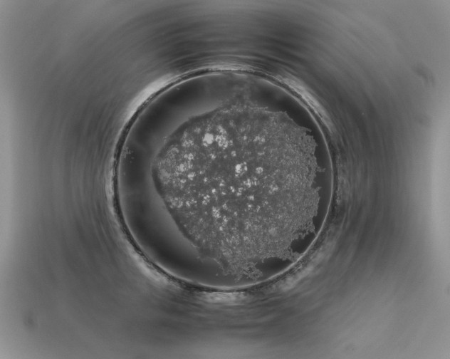 X0000113600853200909181350