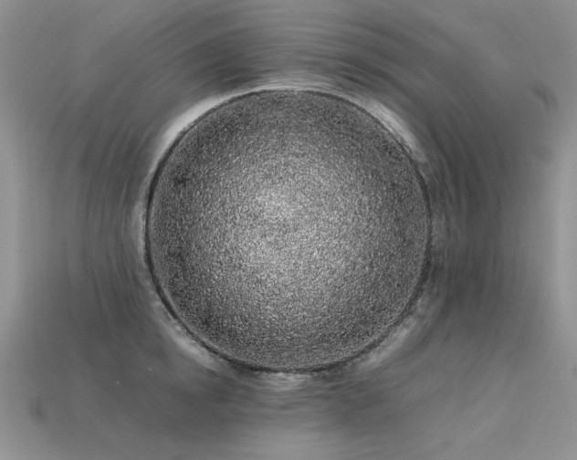 X0000113600854200909181350