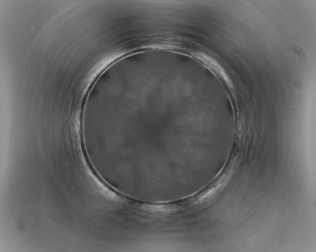 X0000113600855200909181350