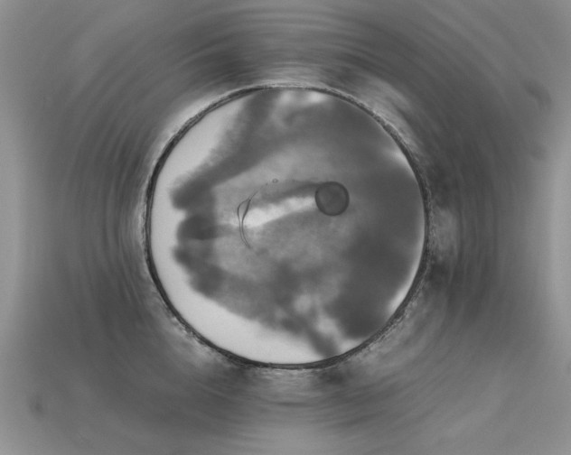 X0000113600856200909181350