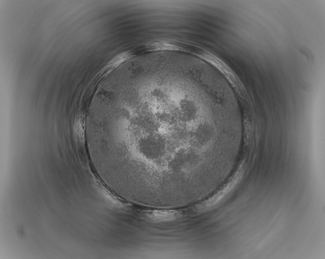 X0000113600857200909181350