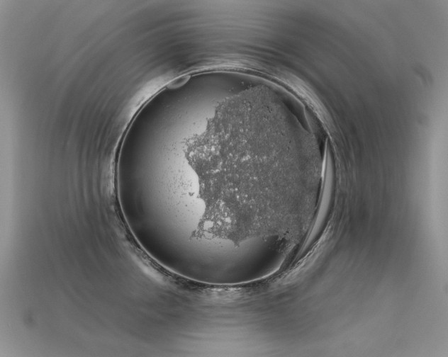 X0000113600858200909181350