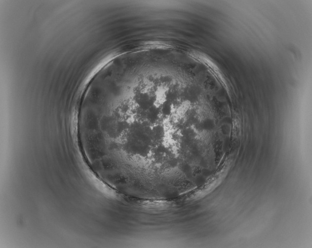 X0000113600859200909181350