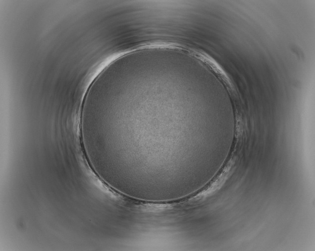 X0000113600860200909181350