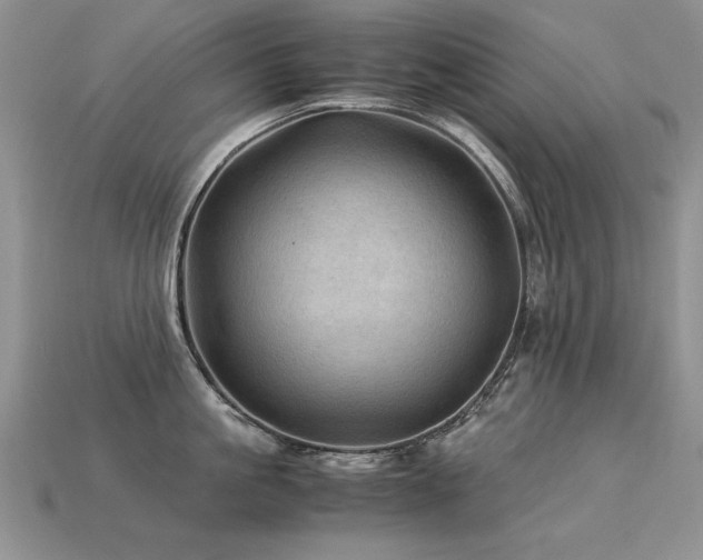 X0000113600861200909181350