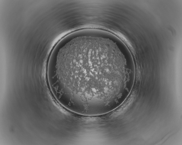 X0000113600862200909181350