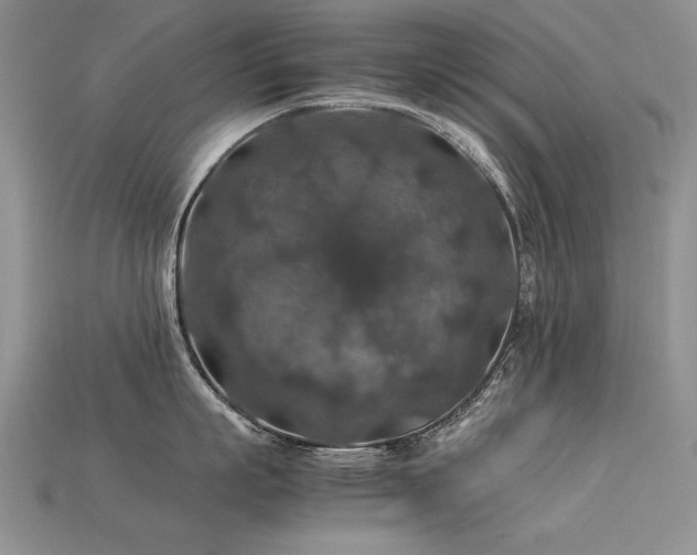 X0000113600863200909181350