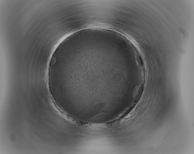 X0000113600864200909181350