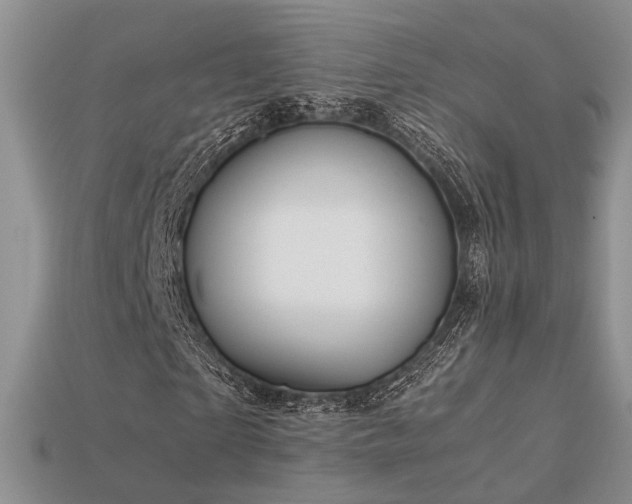 X0000113600865200909181350