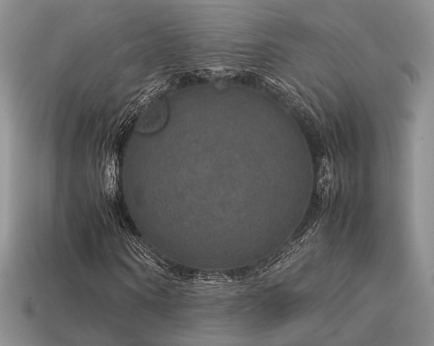 X0000113600866200909181350