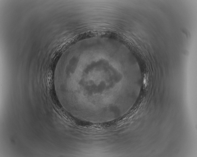 X0000113600867200909181350