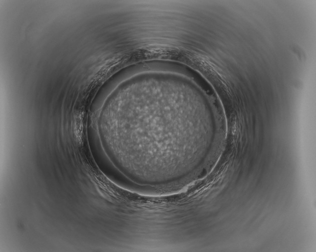 X0000113600868200909181350