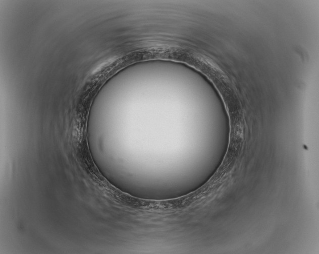 X0000113600869200909181350