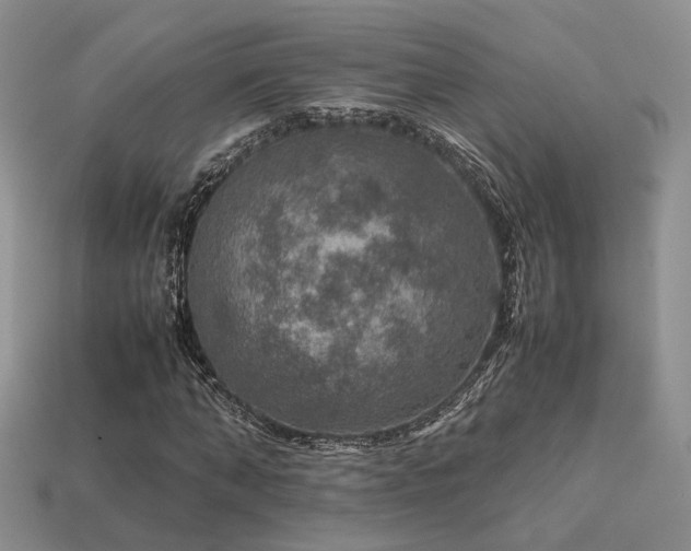 X0000113600870200909181349