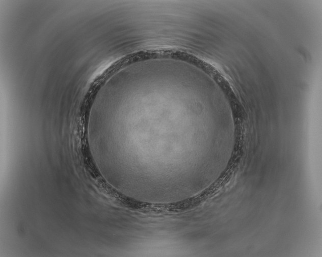 X0000113600871200909181349