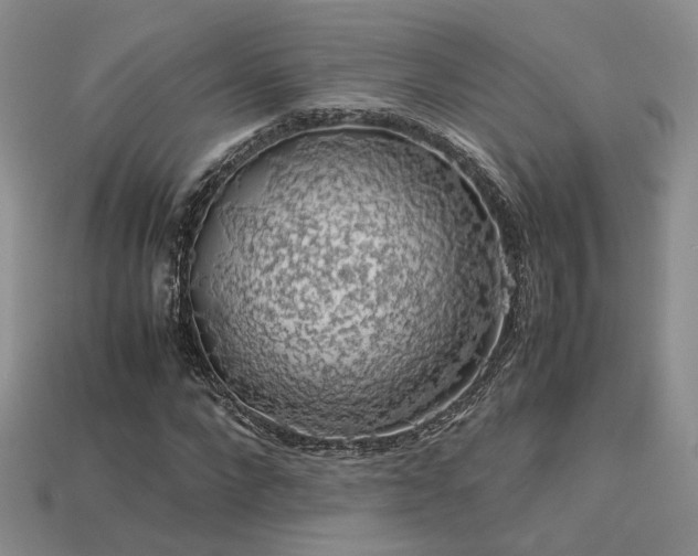 X0000113600872200909181349