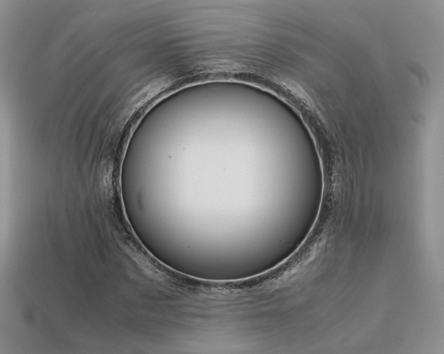 X0000113600873200909181349