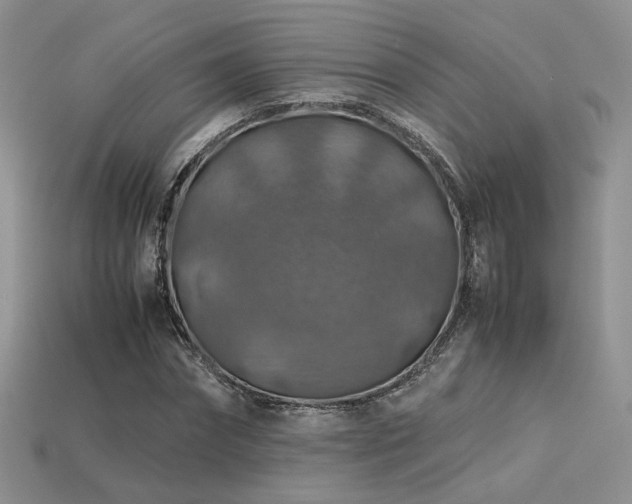 X0000113600874200909181349