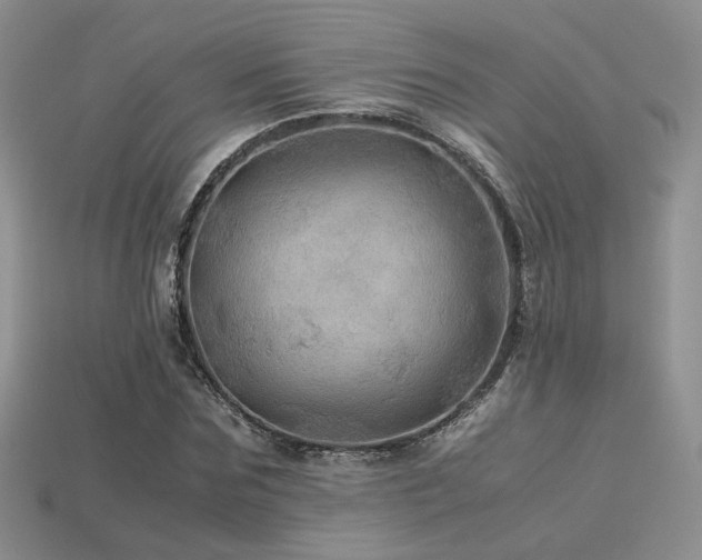 X0000113600875200909181349