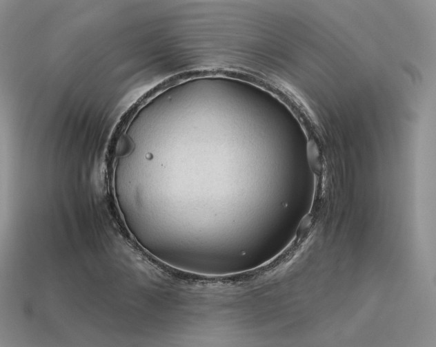 X0000113600876200909181349